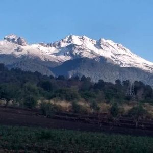 Meet your Posher, Alvaro